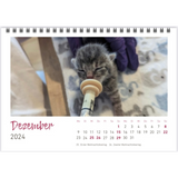 Kleiner Tischkalender für 2024 mit niedlichen Kittenfotos