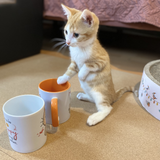 Wieder da: Mausepeter-Tasse weiß/orange (Preis incl. bruchfeste Verpackung und Versand)